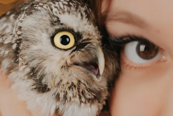 Efbet Casino Suporte